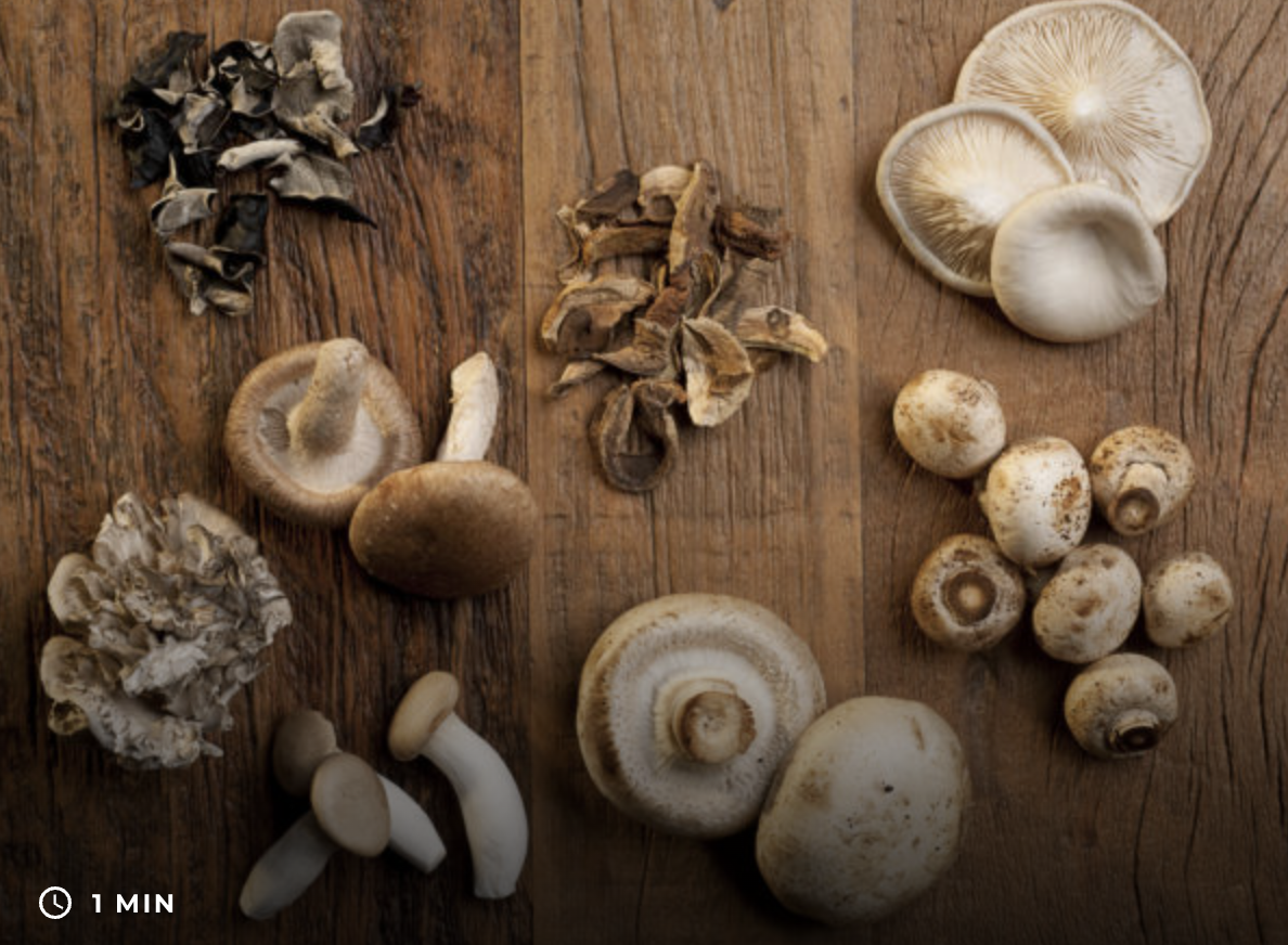 Mushrooms For Memory